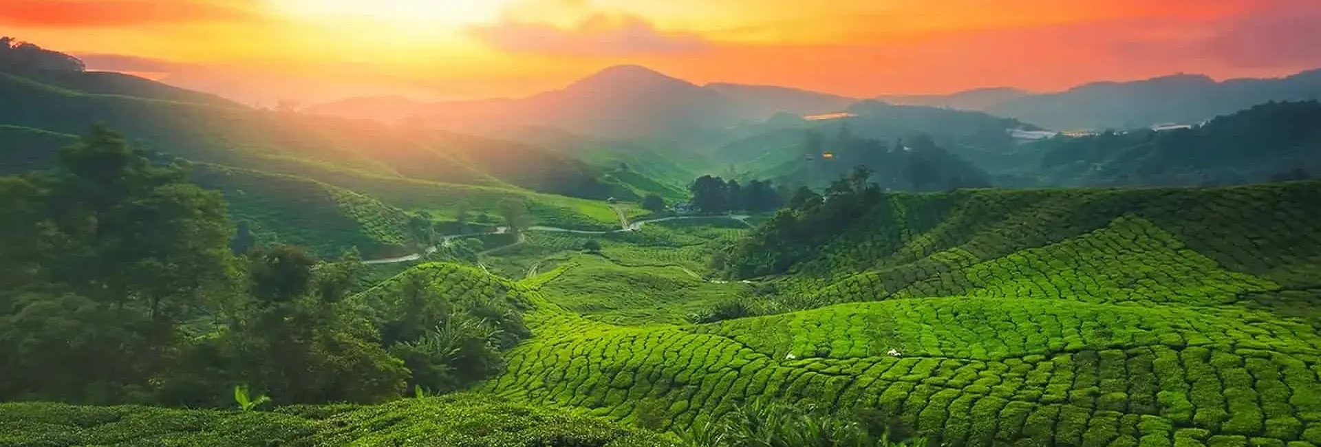 travel agency in munnar
