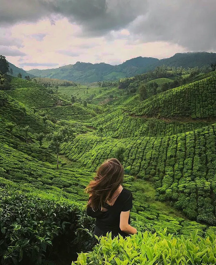 kerala holiday packages