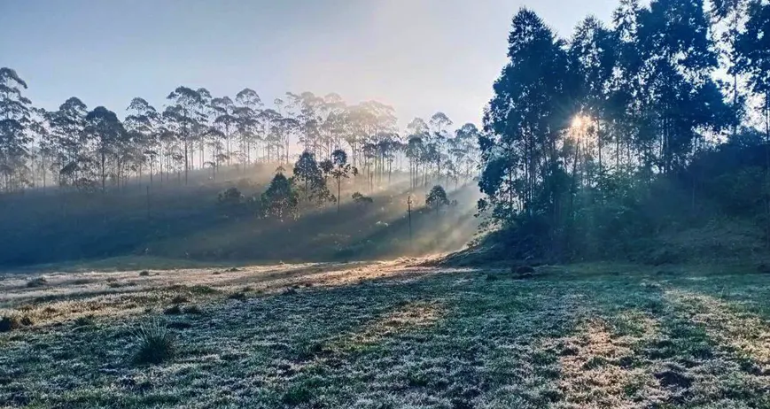 Munnar tour packages 2025