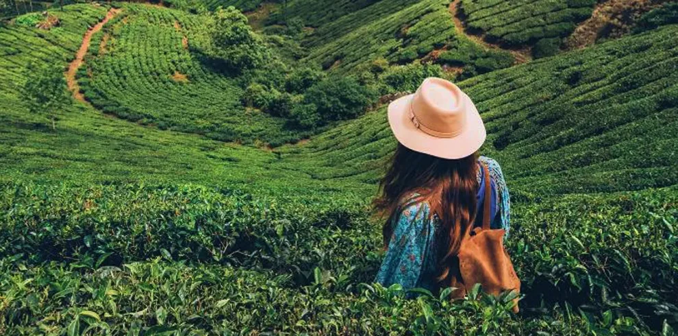 3 days kerala tour packages