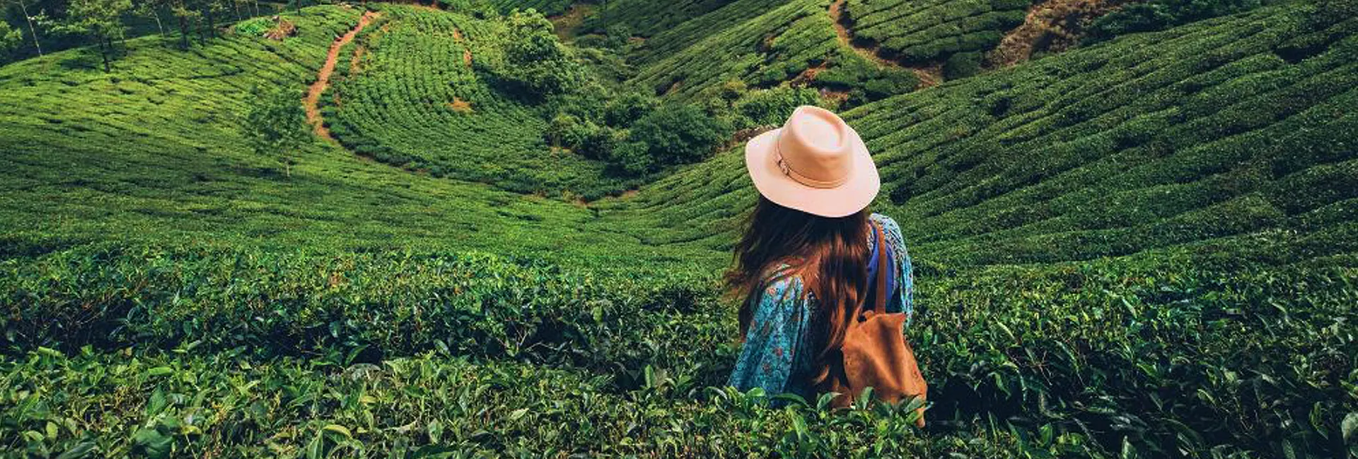 3 days kerala tour packages