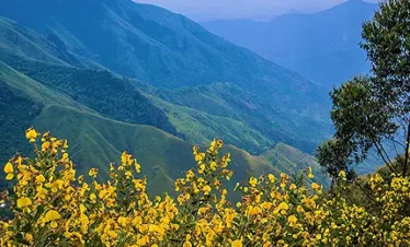 4 days kerala tour packages