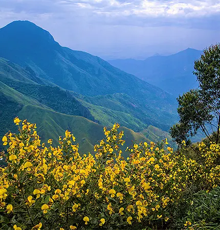 4 days kerala tour packages