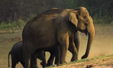 kerala premium holiday packages for family