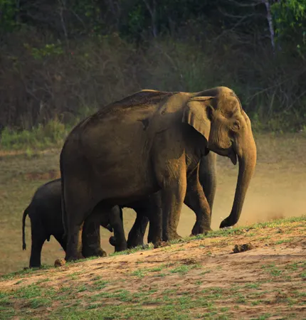 kerala premium holiday packages for family