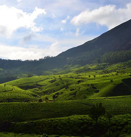 holiday packages for munnar