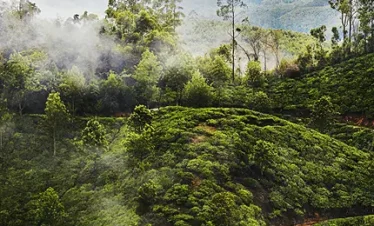 munnar vagamon tour packages from bangalore