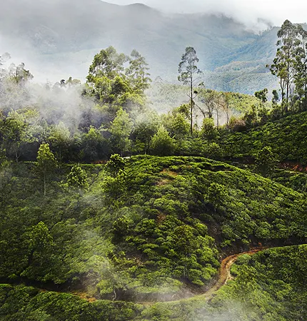 munnar vagamon tour packages from bangalore