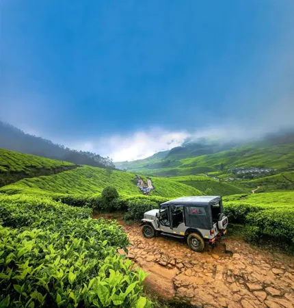 munnar tour packages for couple