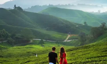 munnar tour packages for couple