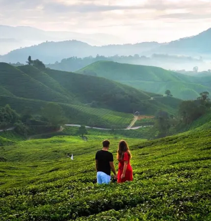 munnar tour packages for couple