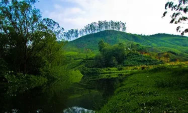 munnar vagamon tour packages
