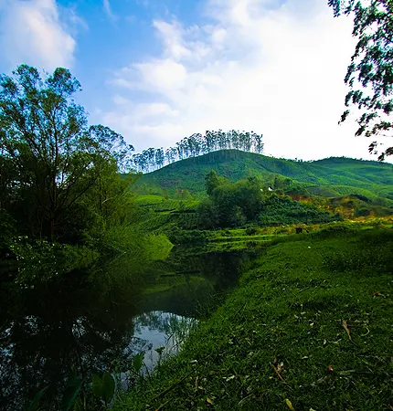munnar vagamon tour packages