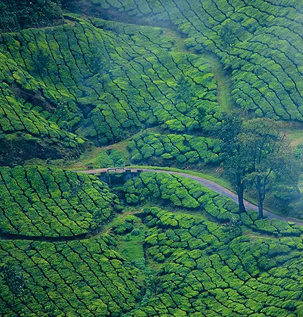 holiday packages munnar kerala