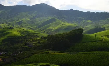 package trip to munnar