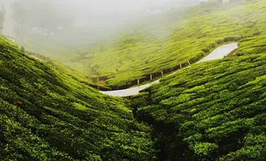 holiday packages munnar kerala