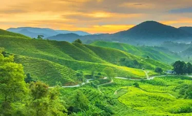 vagamon tour packages