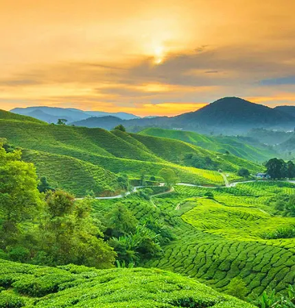 vagamon tour packages
