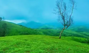 vagamon tour packages