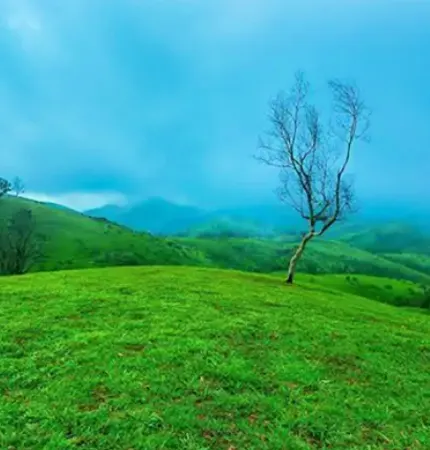 vagamon tour packages