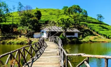 vagamon holiday packages