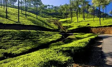 vagamon tour packages from chennai