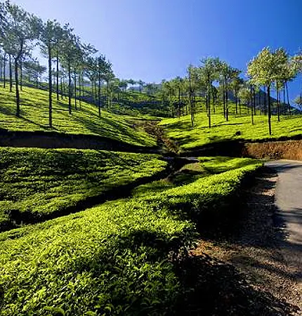 vagamon tour packages from chennai