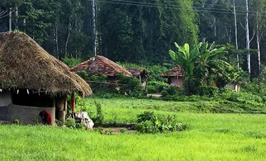 wayanad trip package