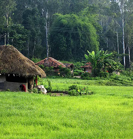 wayanad trip package