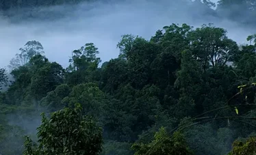 trip to wayanad