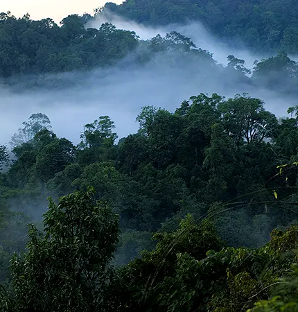 trip to wayanad